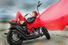 Harley Davidson
